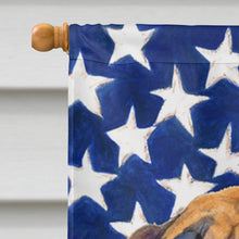 Load image into Gallery viewer, USA American Flag with Bullmastiff Flag Canvas House Size