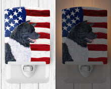 Load image into Gallery viewer, USA American Flag with Akita Ceramic Night Light SS4005CNL