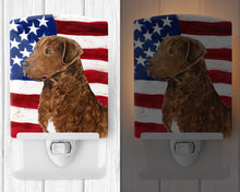Load image into Gallery viewer, USA American Flag with Curly Coated Retriever Ceramic Night Light SS4016CNL