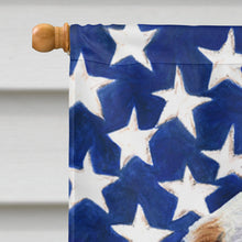 Load image into Gallery viewer, USA American Flag with Clumber Spaniel Flag Canvas House Size