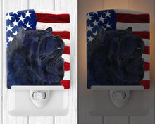 Load image into Gallery viewer, USA American Flag with Chow Chow Ceramic Night Light SS4028CNL