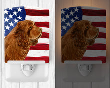 Load image into Gallery viewer, USA American Flag with Sussex Spaniel Ceramic Night Light SS4037CNL
