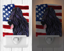 Load image into Gallery viewer, USA American Flag with Briard Ceramic Night Light SS4052CNL