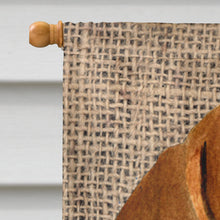Load image into Gallery viewer, Dachshund Flag Canvas House Size