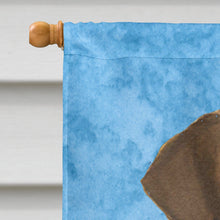 Load image into Gallery viewer, Doberman Flag Canvas House Size