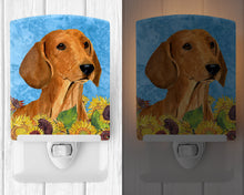 Load image into Gallery viewer, Dachshund in Summer Flowers Ceramic Night Light SS4120CNL