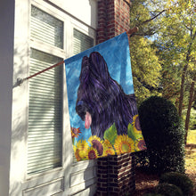 Load image into Gallery viewer, Briard Flag Canvas House Size