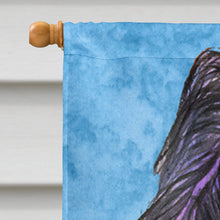 Load image into Gallery viewer, Briard Flag Canvas House Size