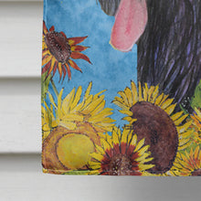 Load image into Gallery viewer, Briard Flag Canvas House Size