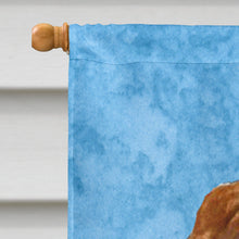 Load image into Gallery viewer, Sussex Spaniel Flag Canvas House Size