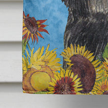 Load image into Gallery viewer, Affenpinscher Flag Canvas House Size