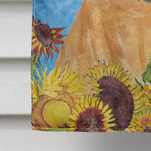 Load image into Gallery viewer, Bullmastiff Flag Canvas House Size