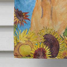 Load image into Gallery viewer, Bullmastiff Flag Canvas House Size