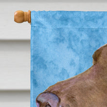 Load image into Gallery viewer, Field Spaniel Flag Canvas House Size