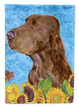 Load image into Gallery viewer, Field Spaniel Flag Canvas House Size