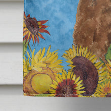 Load image into Gallery viewer, Curly Coated Retriever Flag Canvas House Size