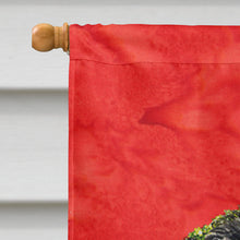 Load image into Gallery viewer, Affenpinscher Flag Canvas House Size