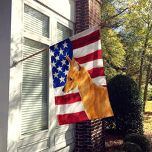 Load image into Gallery viewer, USA American Flag with Min Pin Flag Canvas House Size