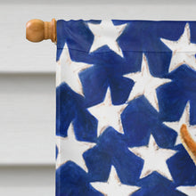 Load image into Gallery viewer, USA American Flag with Min Pin Flag Canvas House Size