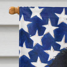 Load image into Gallery viewer, USA American Flag with Japanese Chin Flag Canvas House Size