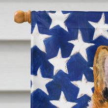 Load image into Gallery viewer, USA American Flag with Collie Smooth Flag Canvas House Size