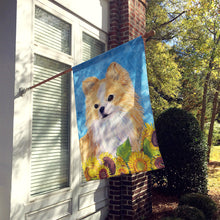 Load image into Gallery viewer, Chihuahua Flag Canvas House Size