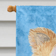 Load image into Gallery viewer, Chihuahua Flag Canvas House Size