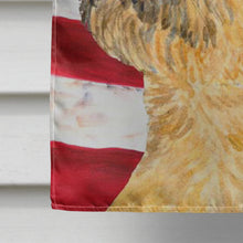 Load image into Gallery viewer, USA American Flag with Border Terrier Flag Canvas House Size