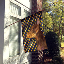 Load image into Gallery viewer, Doberman Candy Corn Halloween Portrait Flag Canvas House Size