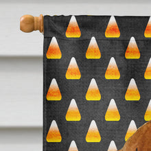 Load image into Gallery viewer, Dachshund Candy Corn Halloween Portrait Flag Canvas House Size
