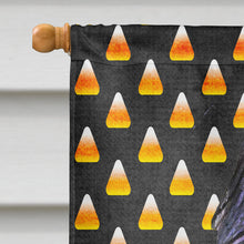 Load image into Gallery viewer, Briard Candy Corn Halloween Portrait Flag Canvas House Size