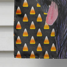 Load image into Gallery viewer, Briard Candy Corn Halloween Portrait Flag Canvas House Size