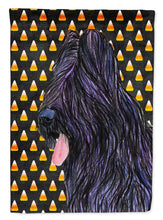 Load image into Gallery viewer, Briard Candy Corn Halloween Portrait Flag Canvas House Size