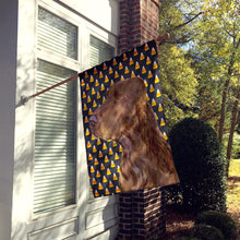 Load image into Gallery viewer, Field Spaniel Candy Corn Halloween Portrait Flag Canvas House Size