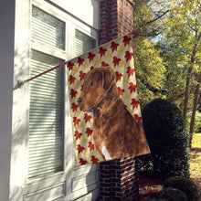 Load image into Gallery viewer, Chesapeake Bay Retriever Fall Leaves Portrait Flag Canvas House Size