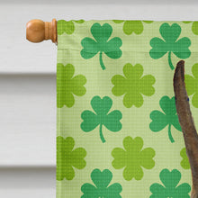 Load image into Gallery viewer, Boxer St. Patrick's Day Shamrock Portrait Flag Canvas House Size