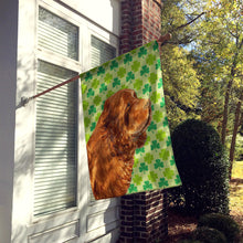 Load image into Gallery viewer, Sussex Spaniel St. Patrick's Day Shamrock Portrait Flag Canvas House Size