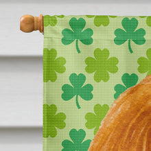 Load image into Gallery viewer, Cavalier Spaniel St. Patrick's Day Shamrock Portrait Flag Canvas House Size