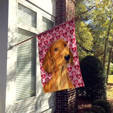 Load image into Gallery viewer, Dachshund Hearts Love Valentine's Day Flag Canvas House Size