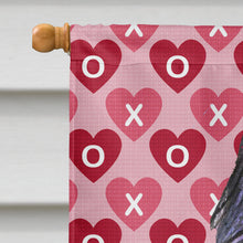 Load image into Gallery viewer, Briard Hearts Love and Valentine's Day Portrait Flag Canvas House Size