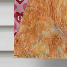 Load image into Gallery viewer, Brussels Griffon Hearts Love and Valentine's Day  Flag Canvas House Size