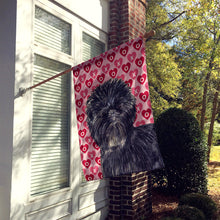 Load image into Gallery viewer, Affenpinscher Hearts Love Valentine's Day Flag Canvas House Size