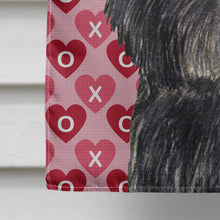 Load image into Gallery viewer, Affenpinscher Hearts Love Valentine's Day Flag Canvas House Size