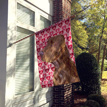 Load image into Gallery viewer, Field Spaniel Hearts Love and Valentine's Day Portrait Flag Canvas House Size