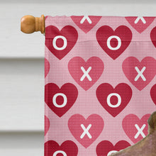 Load image into Gallery viewer, Field Spaniel Hearts Love and Valentine's Day Portrait Flag Canvas House Size
