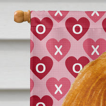 Load image into Gallery viewer, Cavalier Spaniel Hearts Love and Valentine's Day  Flag Canvas House Size
