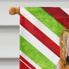 Load image into Gallery viewer, Collie Smooth Candy Cane Holiday Christmas Flag Canvas House Size