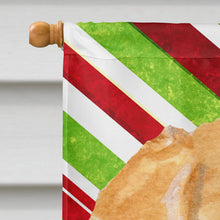 Load image into Gallery viewer, Golden Retriever Candy Cane Holiday Christmas Flag Canvas House Size