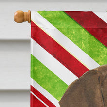 Load image into Gallery viewer, Doberman Candy Cane Holiday Christmas Flag Canvas House Size