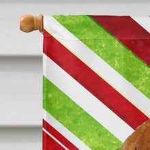 Load image into Gallery viewer, Dachshund Candy Cane Holiday Christmas Flag Canvas House Size